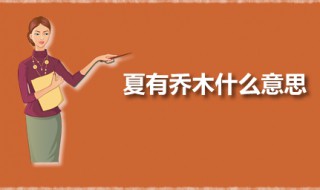 夏有乔木什么意思 夏有乔木出自诗经吗