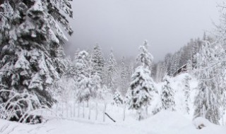 雪的形成是什么物态变化 雪的形成是关于什么的物态变化