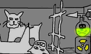 薛定谔的猫是什么定律 薛定谔的猫是什么意思