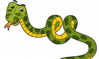 女人梦见蛇被打死预示着什么 女人梦见打死蛇是什么意思