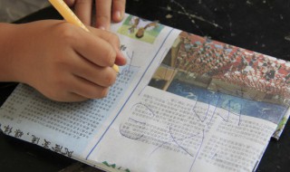 纪念白求恩教学设计 纪念白求恩优秀教案