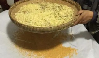 花粉过滤是什么意思 花粉过滤简单释义