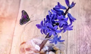 关于信任的说说短句 描写信任的说说短句