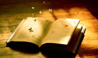 关于读书的唯美句子 关于读书的简短句子