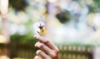 关于修养的名言 描写修养的名言