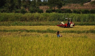 关于收获的名言 有关描写收获的名言
