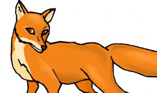 梦见狐狸代表什么 梦见狐狸的含义