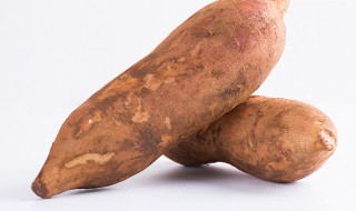 怎样储存雪莲果 储存雪莲果的方法