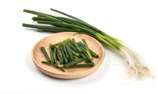 阳台四季葱种植方法 四季小葱种植方法