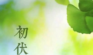 关于初伏怎么定 关于初伏是如何定