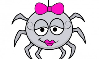 家庭有效杀红蜘蛛方法 家庭有效杀红蜘蛛方法有哪些