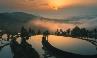 关于混社会的说说 关于混社会的说说有哪些