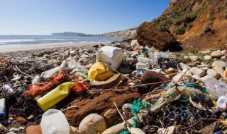 固体废物包括哪些 什么是固体废物