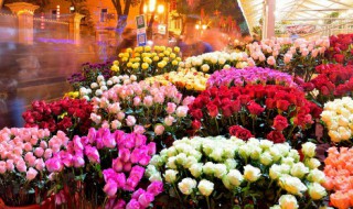 次第花开的寓意 次第花开的意思