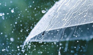 春雨潇潇的意思 春雨潇潇是什么意思