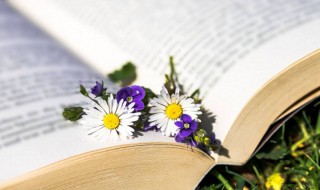 后颜无耻什么意思 后颜无耻解释