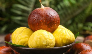 生栗子应怎样储存 生栗子储存方法