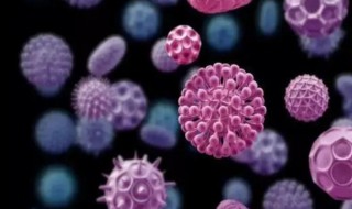 糖化血红蛋白高是什么意思 糖化血红蛋白高怎么处理