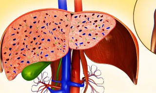 肝内钙化灶是什么意思 肝内钙化灶有何特点