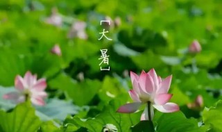 大暑该怎么表达 大暑该如何表达