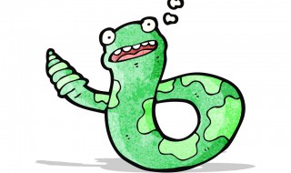 关于响尾蛇的资料 响尾蛇的介绍