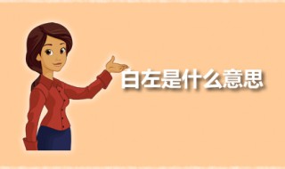 白左是什么意思 白左是褒义词吗
