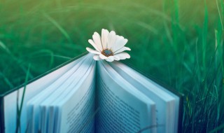 关于阿炳的资料 关于阿炳的资料介绍