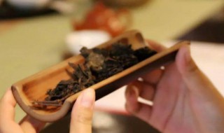 湿气重是什么意思 湿气重指的是什么