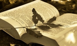 戏谑意思是什么 戏谑解释