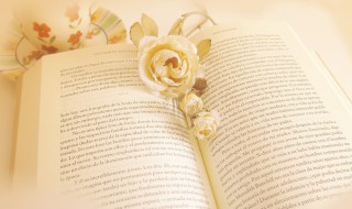 夸人美丽的句子 夸人美丽的说说