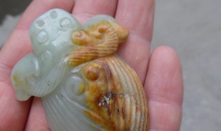 玉蝉的寓意是什么 玉蝉有什么寓意