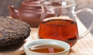 红茶是什么意思网络语言 红茶网络语言的含义