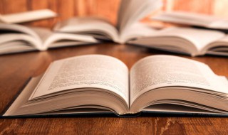 直率的意思 直率的解释