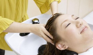 茶麸洗头的正确方法 茶麸洗头的正确方法是怎样的