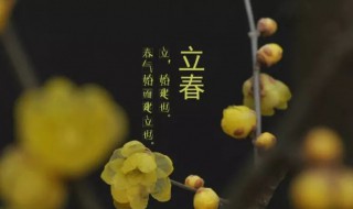 打春注意事项 打春注意事项有哪些