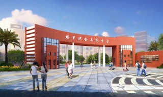 综合高中是什么意思 综合高中的意思