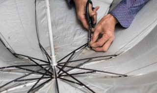 伞骨坏了怎么修 伞骨坏了如何修