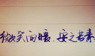 微笑向暖安之若素的意思 微笑向暖安之若素解释