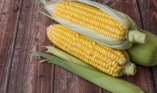 玉米种怎样储存 玉米种如何储存