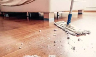 灰尘怎么清理 怎么清理灰尘