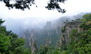 张家界天子山景点介绍 张家界天子山景点简介