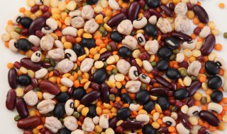 怎样长期储存粮食 如何保存粮食