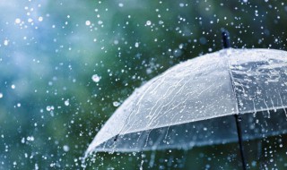 冒雨是什么意思 冒雨具体是什么意思