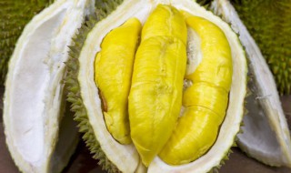 榴莲暗示什么意思 榴莲暗示的意思介绍