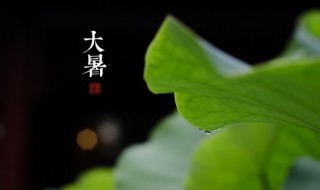 大暑发朋友圈必选文案 大暑文案句子