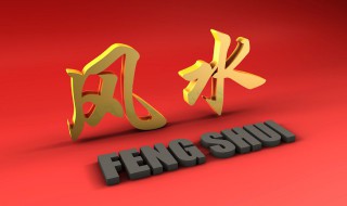 养文竹不吉利的说法 养文竹的寓意