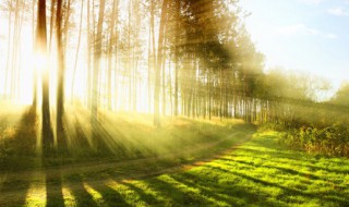 处暑谚语 处暑谚语是什么