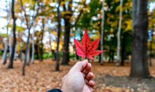 立秋怎么宣传 立秋如何宣传