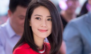 完美伴侣演员表 完美伴侣简单介绍