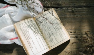 什么是传记 传记的解释